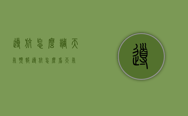 导航怎么调天气预报（导航怎么看天气）