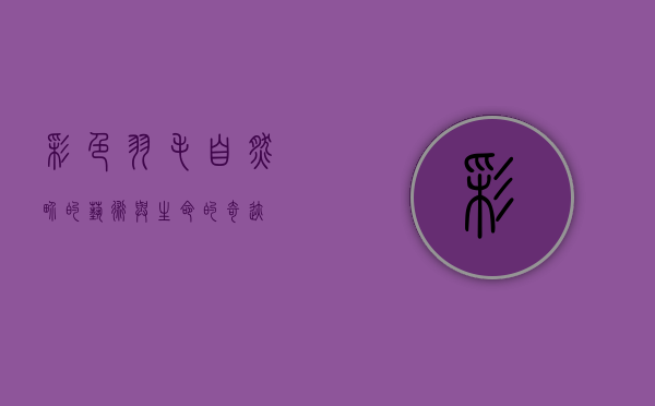 彩色羽毛，自然界的艺术与生命的奇迹