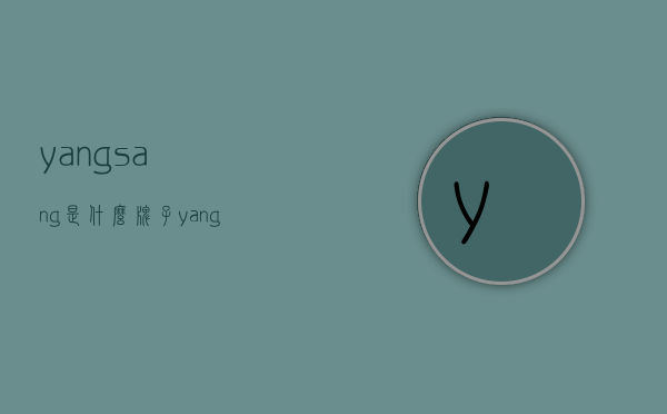 yangsang是什么牌子（yangli品牌官网）