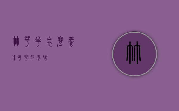竹芋花怎么养（竹芋花好养吗）