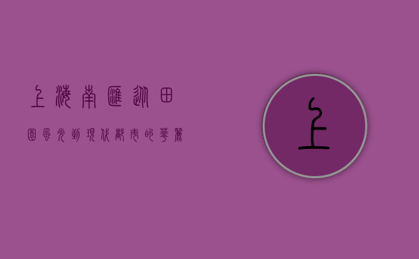 上海南汇，从田园风光到现代都市的华丽蜕变