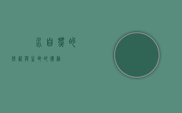 淴淴水，自然的低语与生命的律动