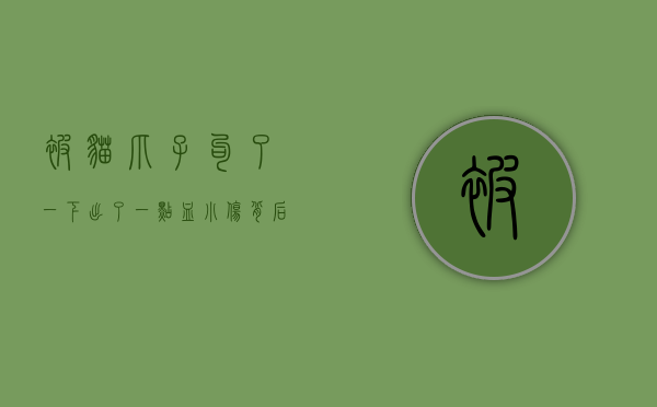 被猫爪子勾了一下出了一点血，小伤背后的健康警示与应对策略