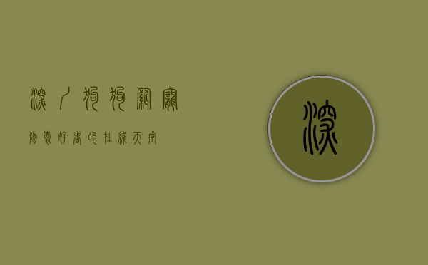 深圳狗狗网，宠物爱好者的在线天堂
