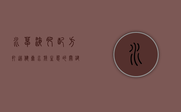 水草液肥配方,打造健康水族生态的关键 水草液肥配方,打造健康水族生态的关键