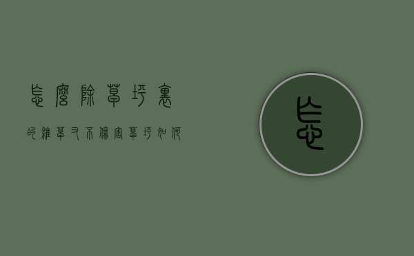 怎么除草坪里的杂草又不伤害草坪（如何防止草坪长杂草）