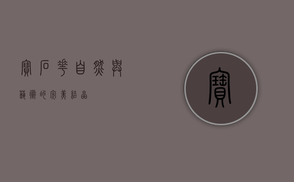 宝石花，自然与艺术的完美结晶