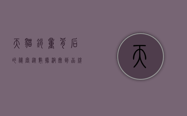 天猫销量背后的秘密，从数据洞察到品牌成功之路