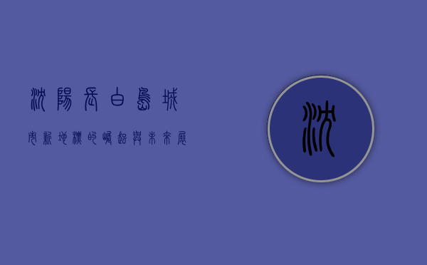 沈阳长白岛，城市新地标的崛起与未来展望