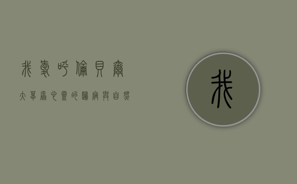 我爱呼伦贝尔大草原，心灵的归宿与自然的赞歌