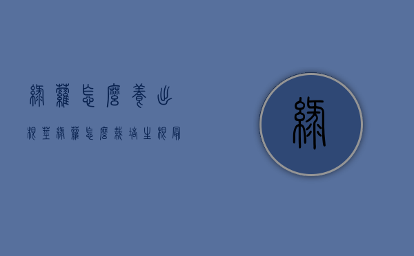 绿萝怎么养出根茎（绿萝怎么栽培生根最快?）