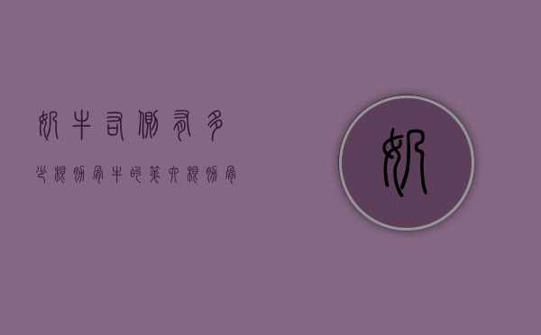 奶牛右侧有多少根肋骨（牛的第六根肋骨）