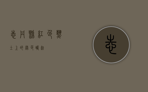 志丹县，红色热土上的绿色崛起
