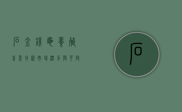 石金钱龟养殖前景分析，市场潜力与可持续发展之路