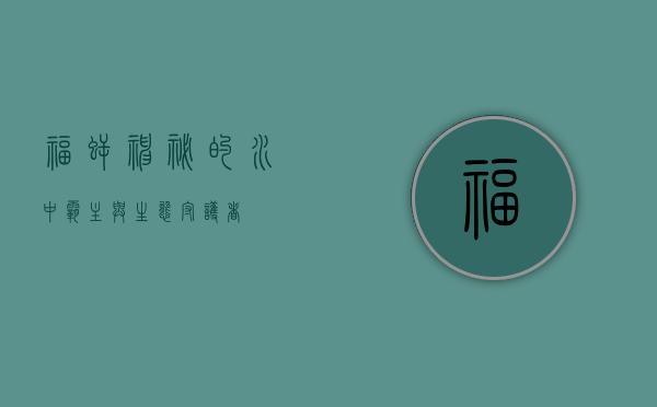 福鳄，神秘的水中霸主与生态守护者