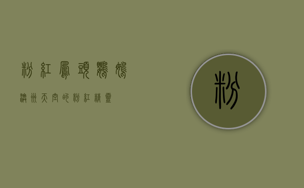 粉红凤头鹦鹉，澳洲天空的粉红精灵