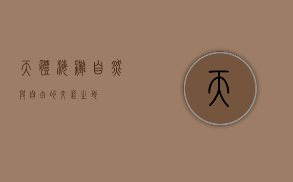 天体海滩，自然与自由的交汇之地