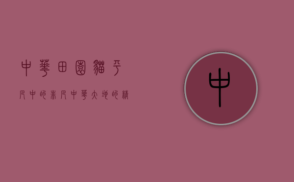 中华田园猫，平凡中的非凡，中华大地的精灵