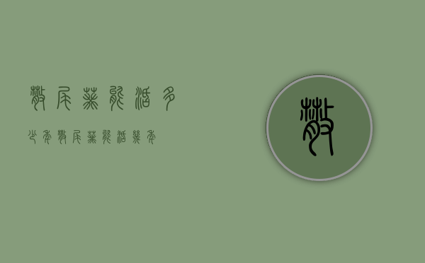 散尾葵能活多少年（散尾葵能活几年）