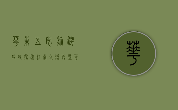 华东五市旅游攻略，探索江南水乡与繁华都市的完美融合