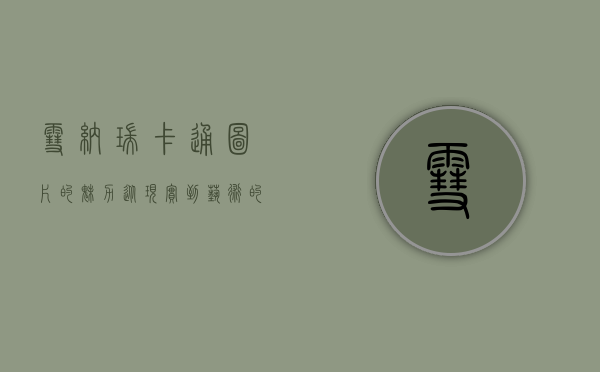 雪纳瑞卡通图片的魅力，从现实到艺术的完美融合