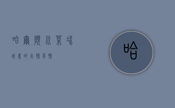 哈尔滨川菜，冰城里的火辣风情