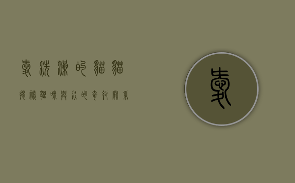 爱洗澡的猫猫，揭秘猫咪与水的奇妙关系