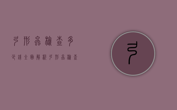 弓形虫检查多少钱？全面解析弓形虫检查的费用与重要性
