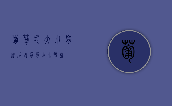 葡萄的大小怎么形容（葡萄大小描写）