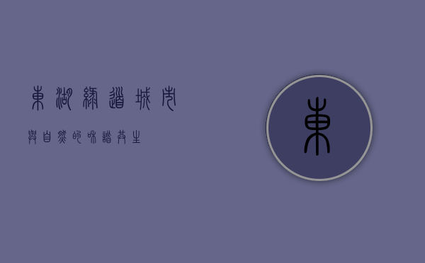 东湖绿道，城市与自然的和谐共生