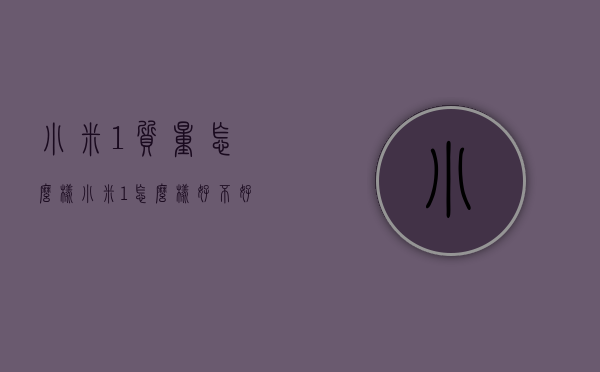 小米1质量怎么样（小米1怎么样好不好）