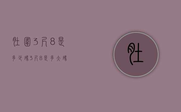 肚围3尺8是多少码（3尺8是多大码）