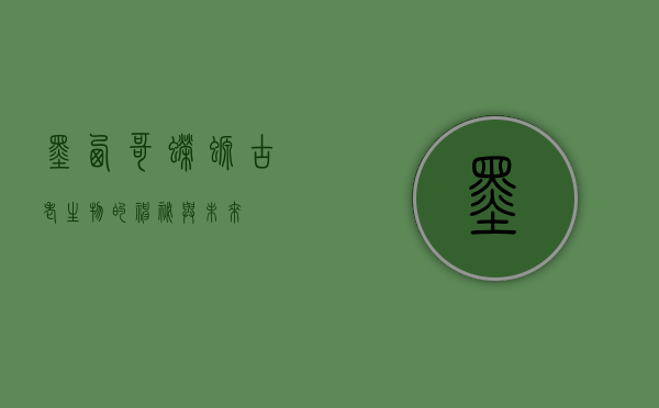 墨西哥蝾螈,古老生物的神秘与未来 墨西哥蝾螈,古老生物的神秘与未来