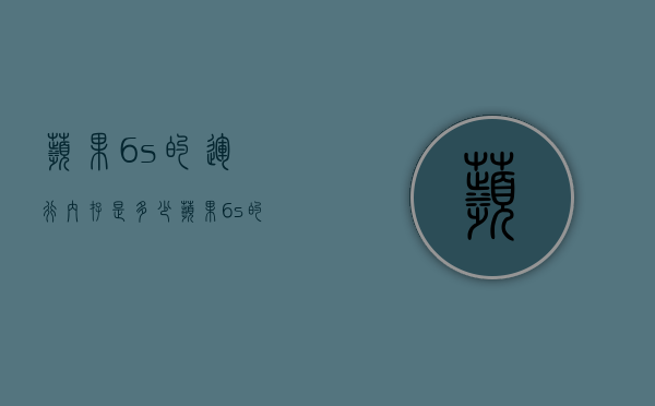 苹果6s的运行内存是多少（苹果6s的运行内存是多少g的）