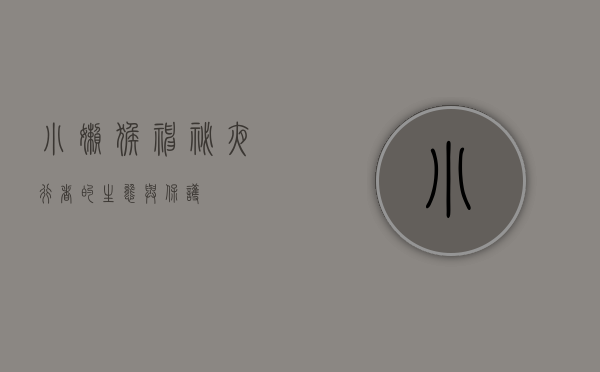 小懒猴，神秘夜行者的生态与保护