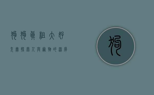 狗狗真粗大好充实，探索人与宠物的深厚情感纽带