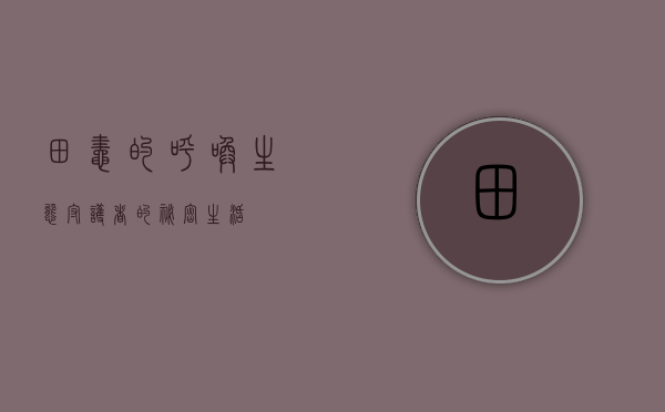 田蛙的呼唤，生态守护者的秘密生活