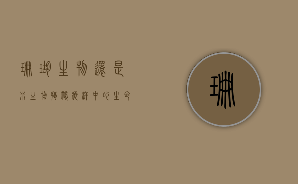 珊瑚，生物还是非生物？揭秘海洋中的生命之谜