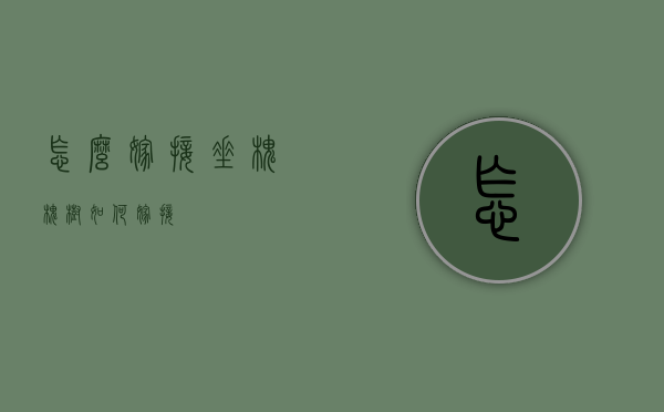 怎么嫁接垂槐（槐树如何嫁接）