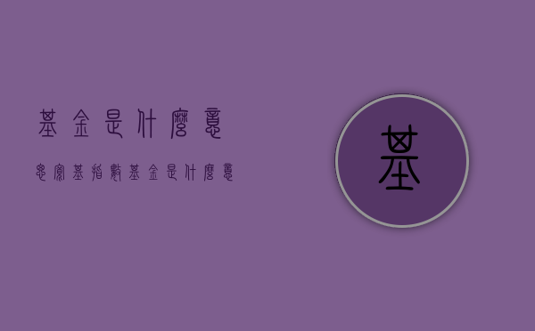 基金是什么意思（宽基指数基金是什么意思）