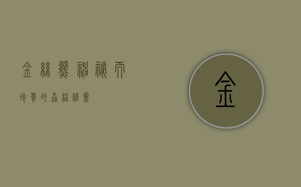 金丝熊，神秘而珍贵的森林精灵