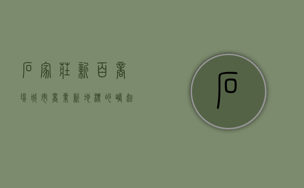 石家庄新百商场，城市商业新地标的崛起与未来展望