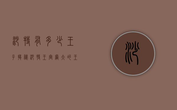 沙特有多少王子？揭秘沙特王室庞大的王子群体