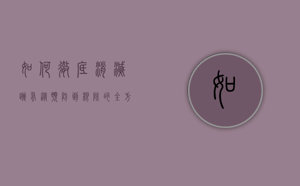 如何彻底消灭跳蚤，从预防到根除的全方位指南