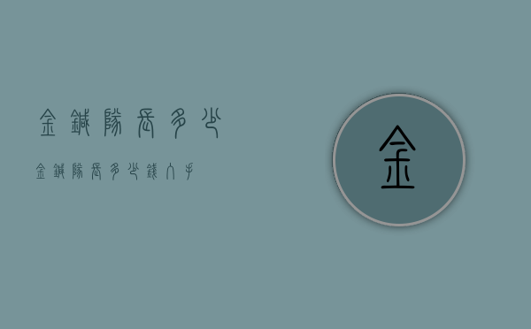 金针队长多少（金针队长多少钱入手）