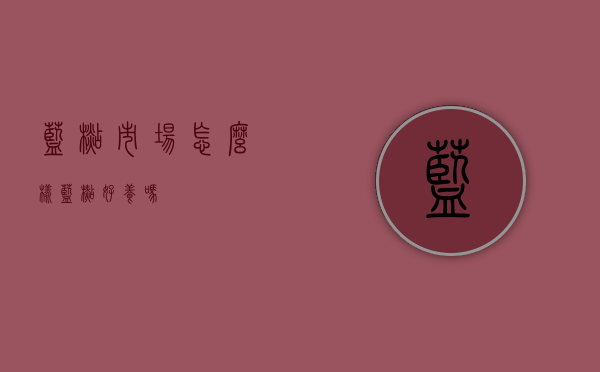 蓝杉市场怎么样（蓝杉好养吗）