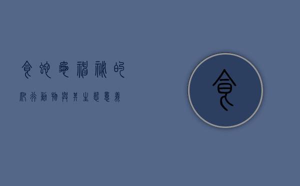 食蛇龟，神秘的爬行动物与其生态意义