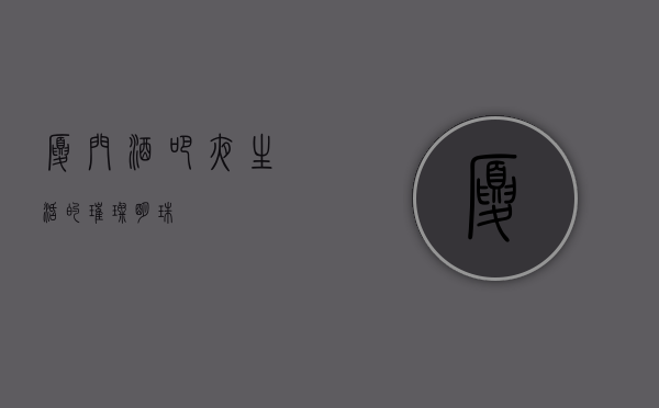 厦门酒吧，夜生活的璀璨明珠