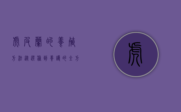 虎皮兰的养殖方法，从选种到养护的全方位指南