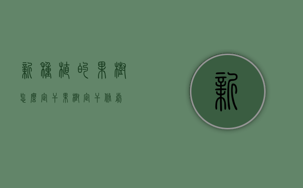 新种植的果树怎么定干（果树定干修剪）